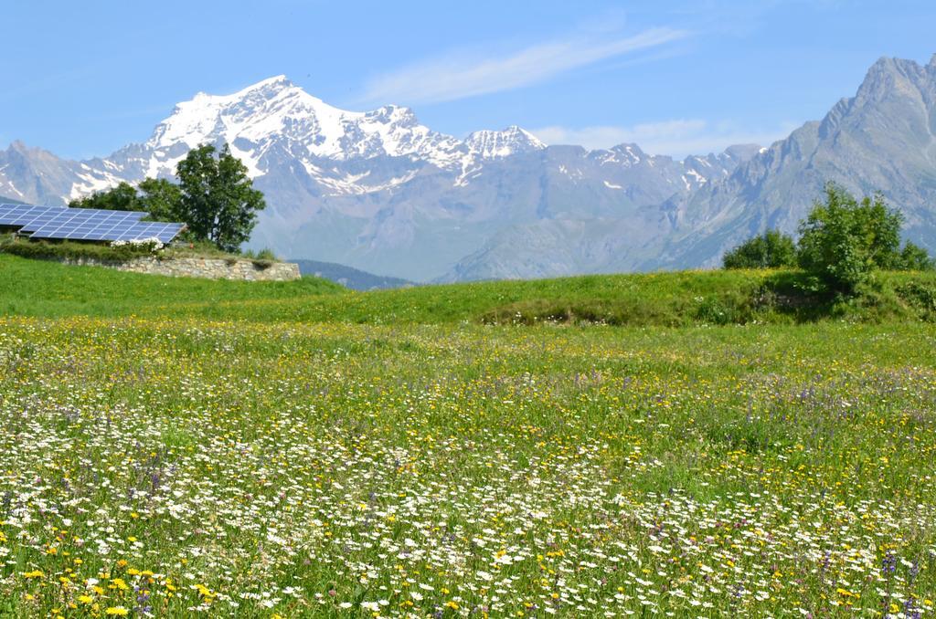 Lo Coppa Fen Apartamento Aosta Exterior foto